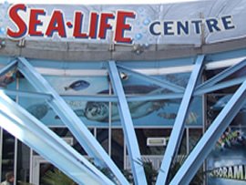 Kids Activity Canal Boating Routes